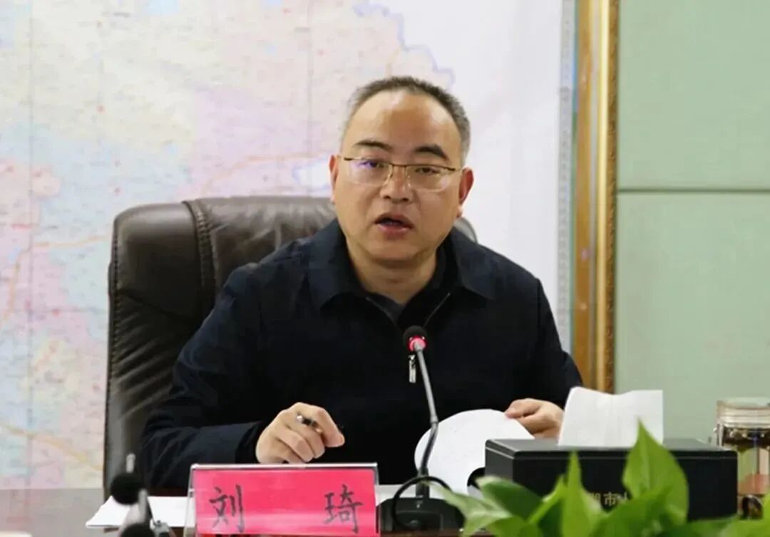 临湘市刘琦主持召开市政府重点工作调度会