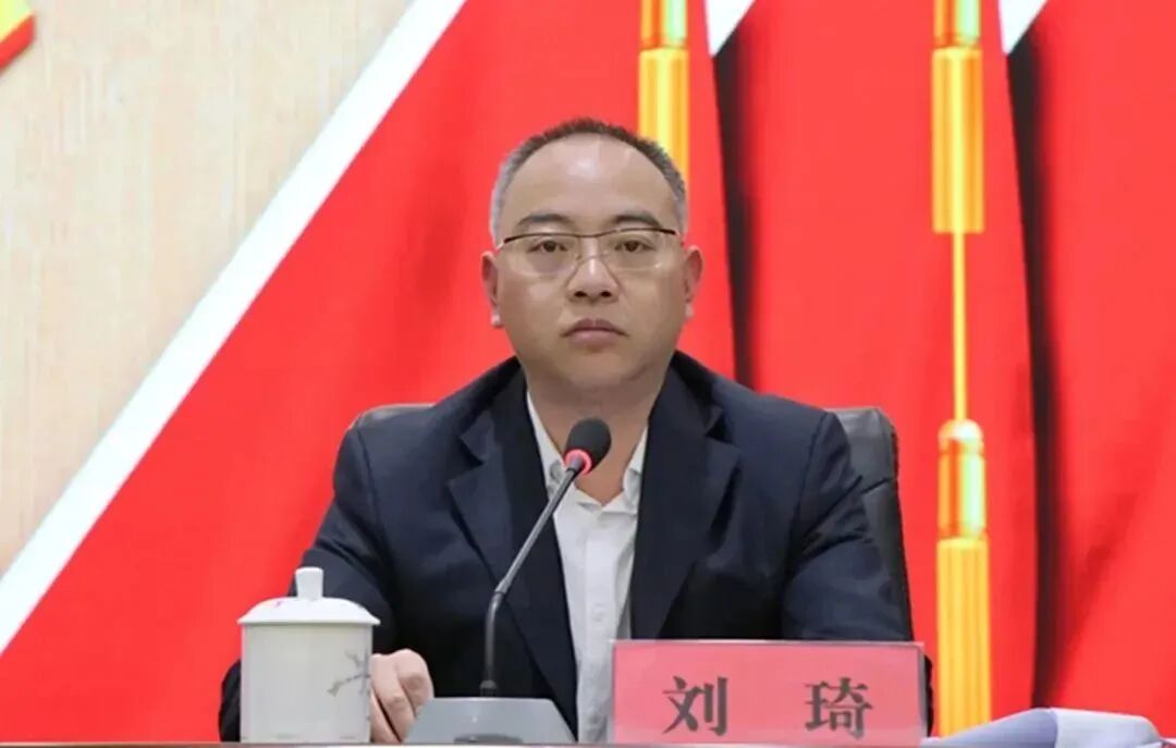 临湘市召开2023年市委巡察工作会议暨第四轮巡察动员部署会