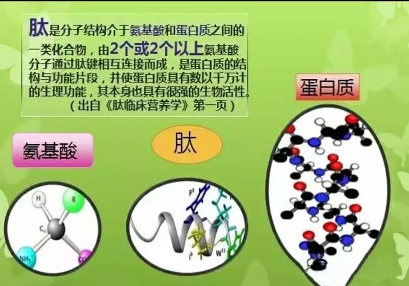 富迪肽丨内服加外敷，健康又美丽