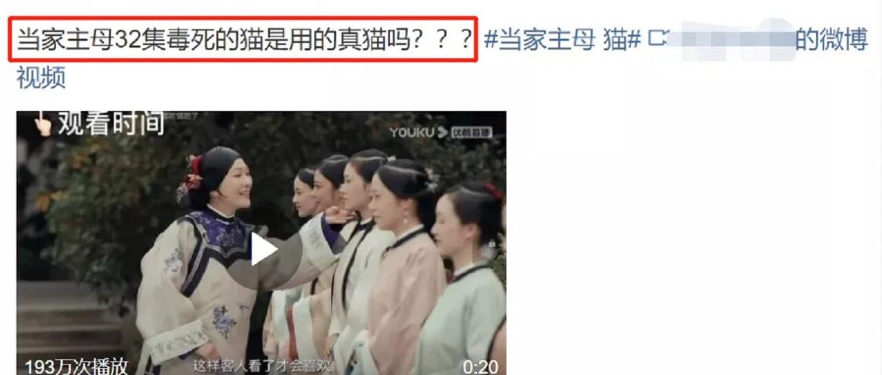 于正拍戏到底有没有毒死猫？