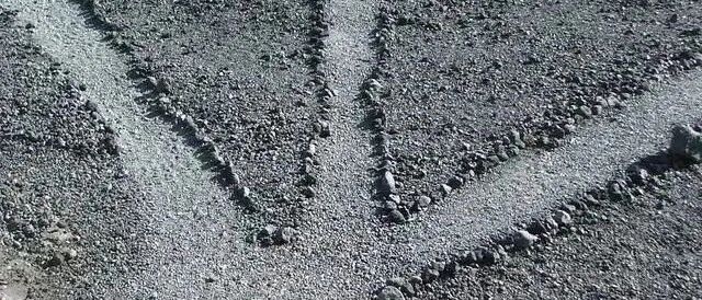 那些贫穷的人，仅仅是因为不努力吗？