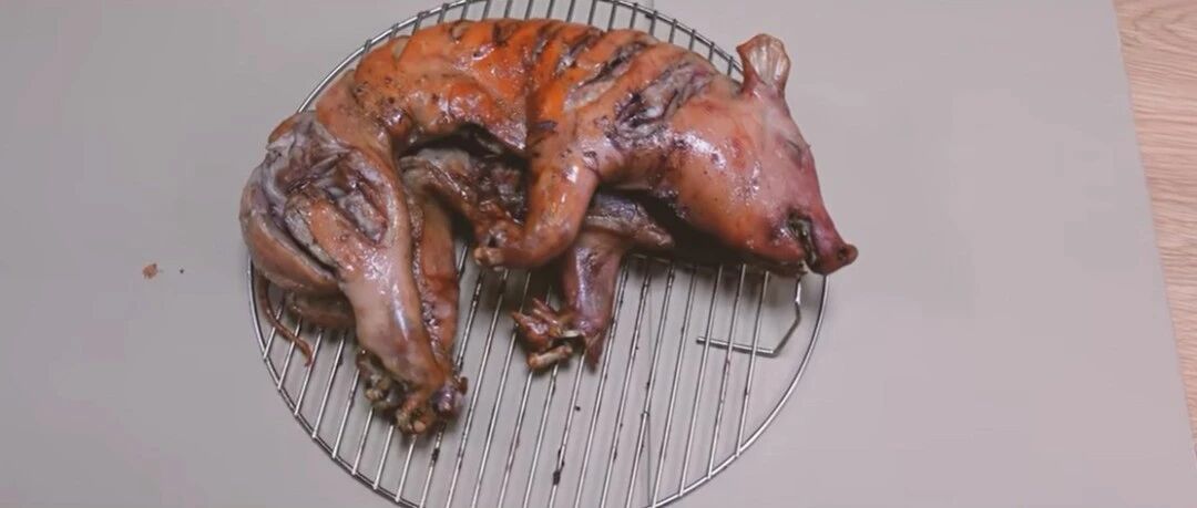 精心养育宠物猪100天后，把它杀死、烤熟、吃掉...