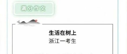 炒作这样的满分作文，是有害的