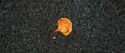 “我”，只不过是一个得了艾滋病的普通人