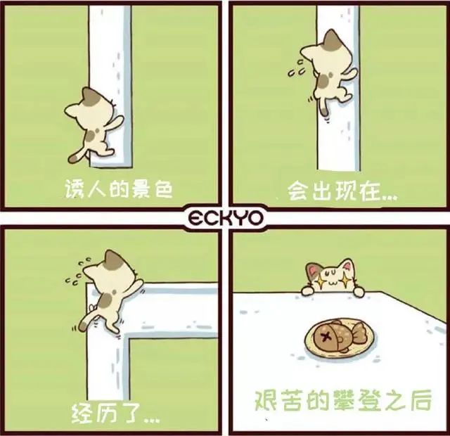 心理健康手教育抄報一等獎初三_心理健康手教育抄報簡單內容_心理健康教育手抄報