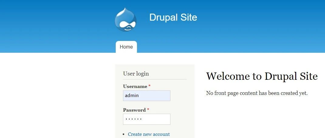 Example Image