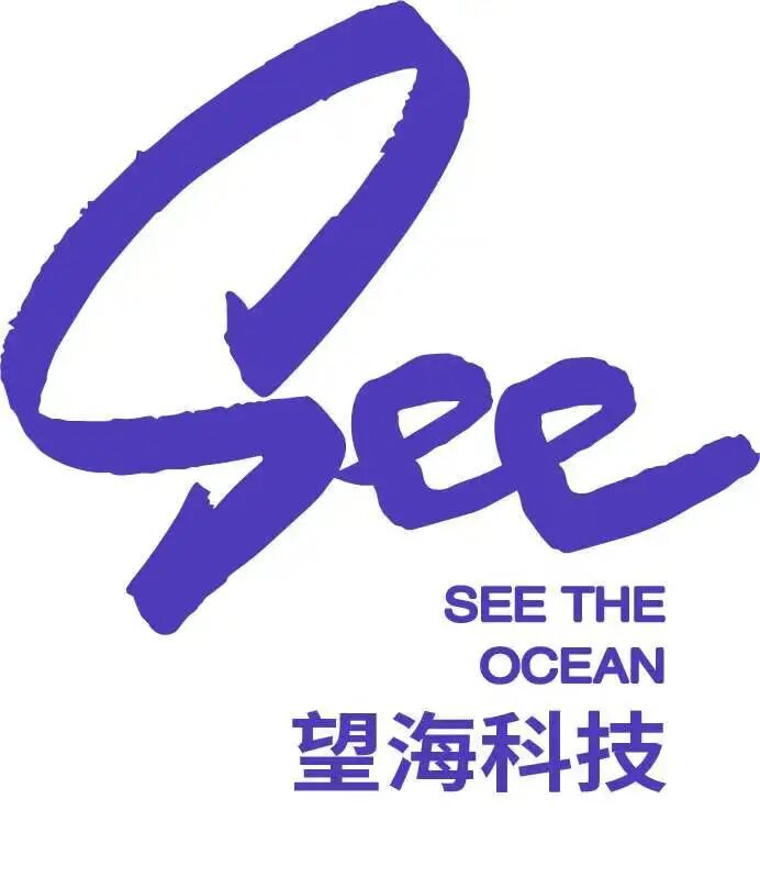 望海信息科技