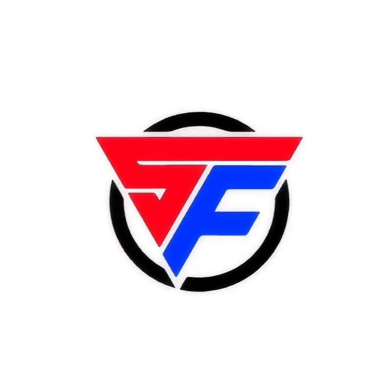 数飞信息科技