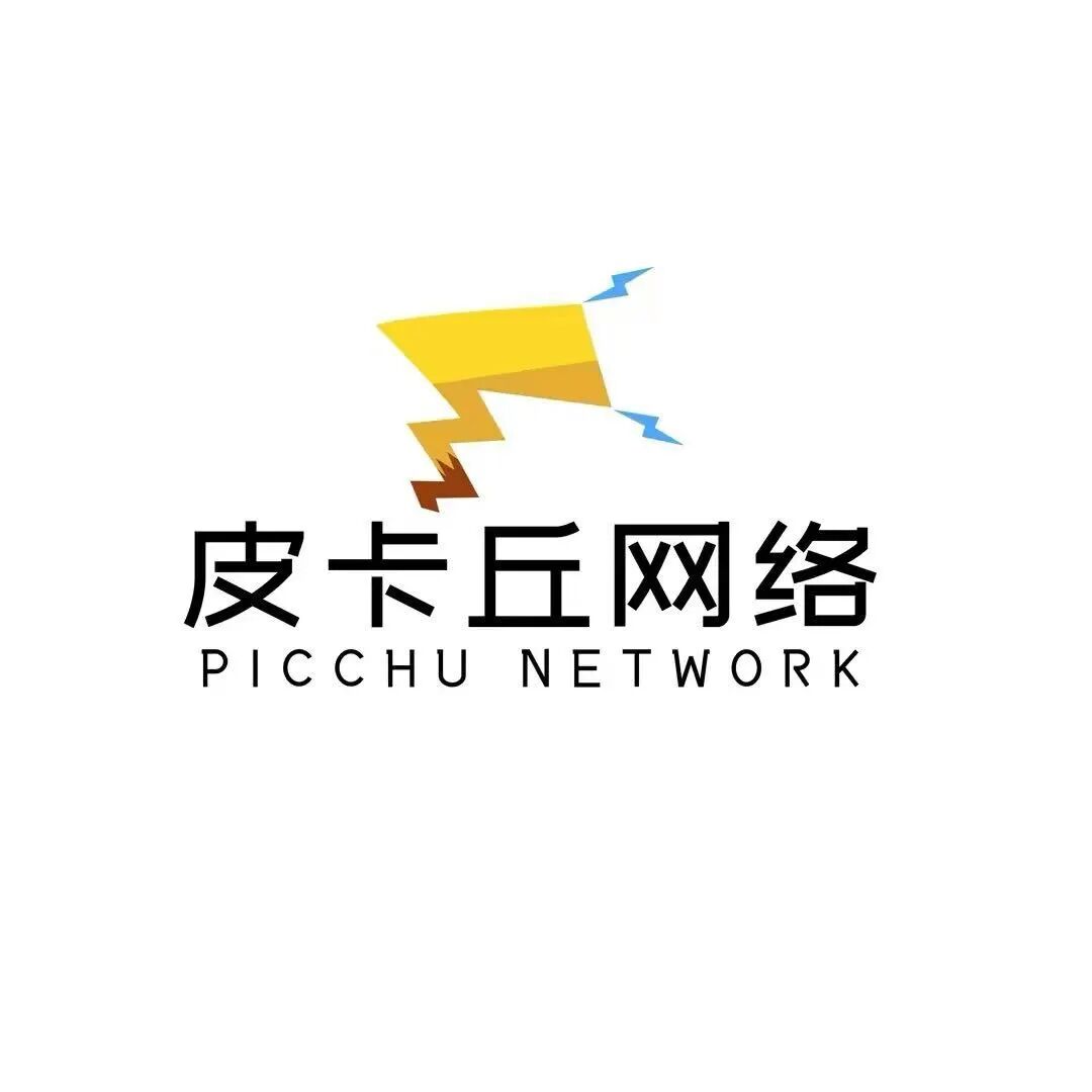 皮卡丘网络