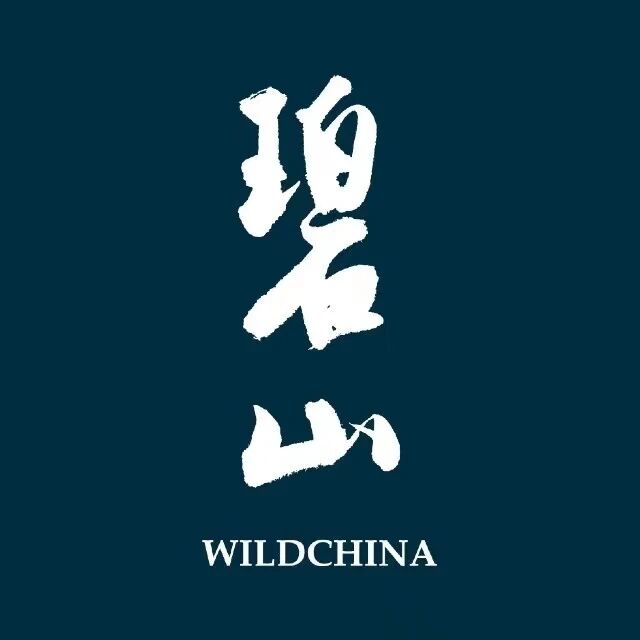 碧山旅行