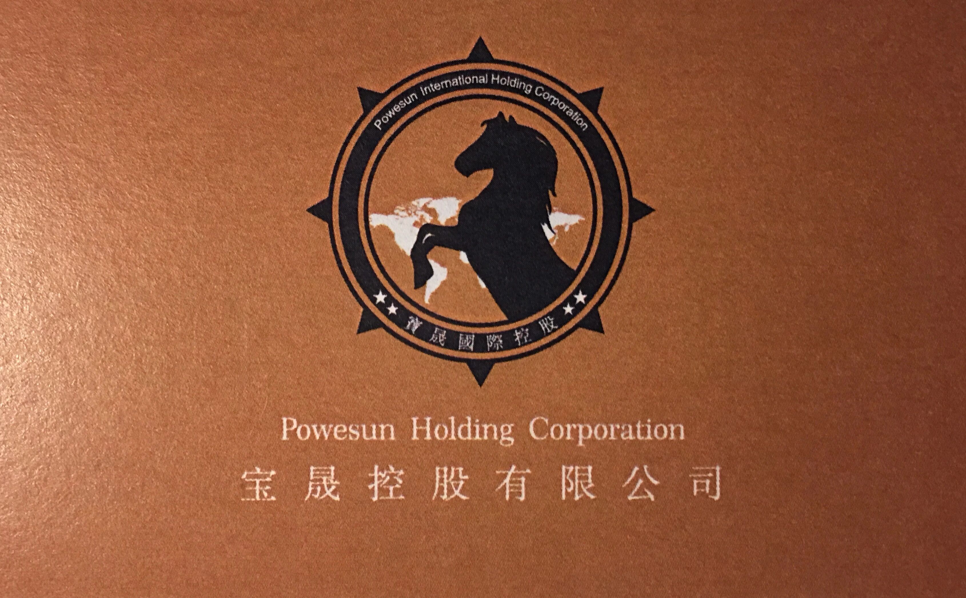 宝晟控股