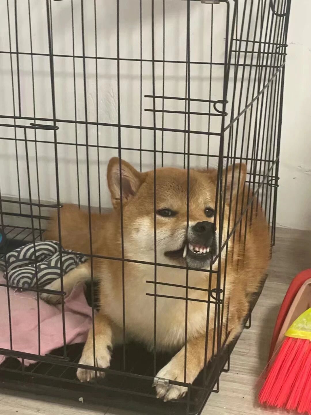 沫白软件科技有限公司