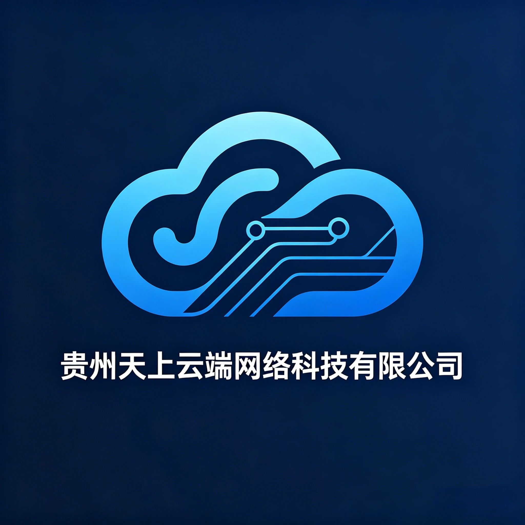 贵州天上云端网络科技公司