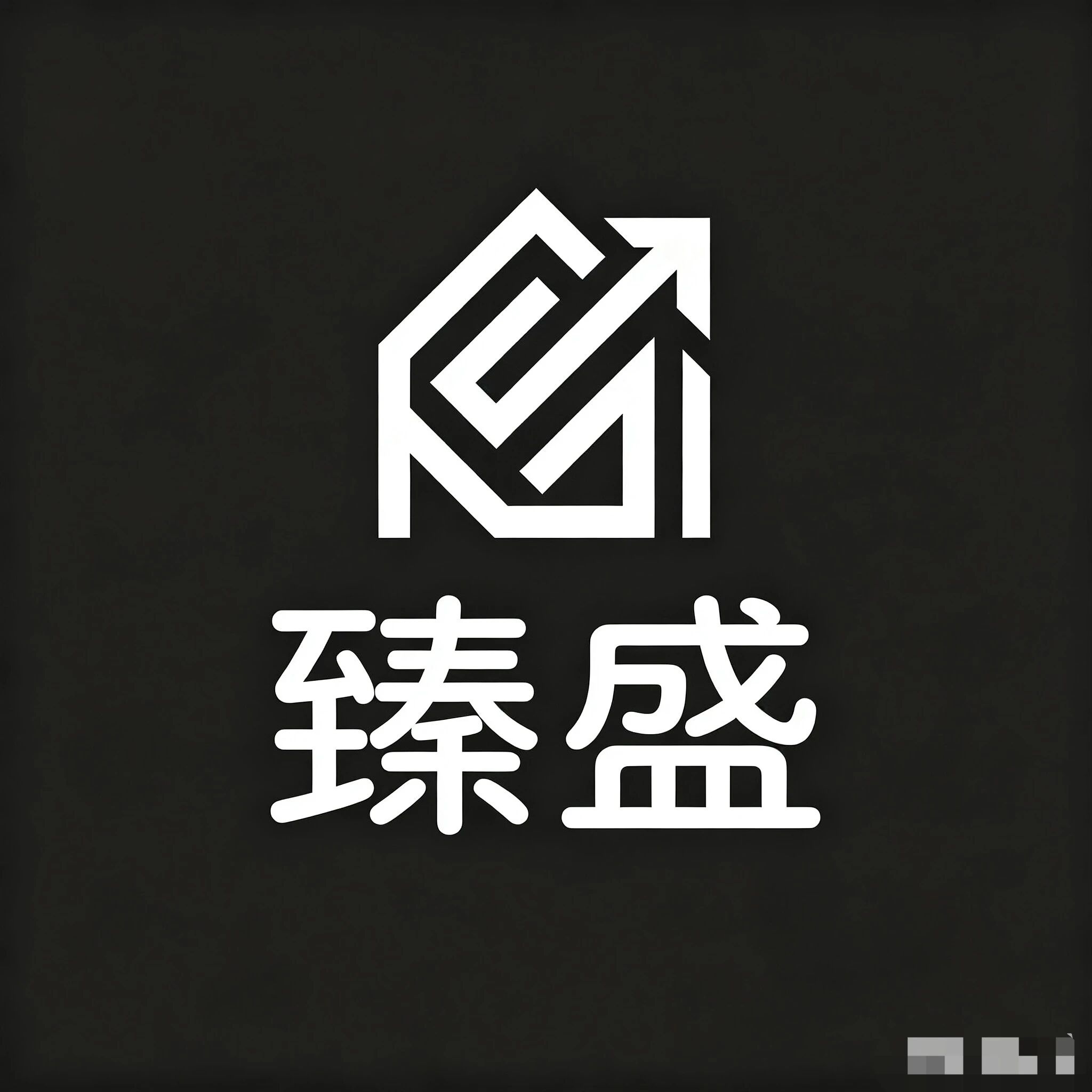 臻盛传媒