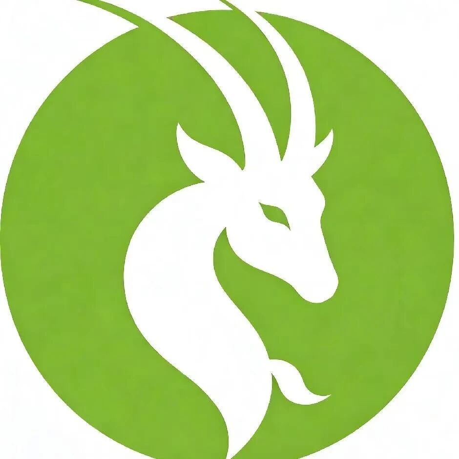 央孜网平