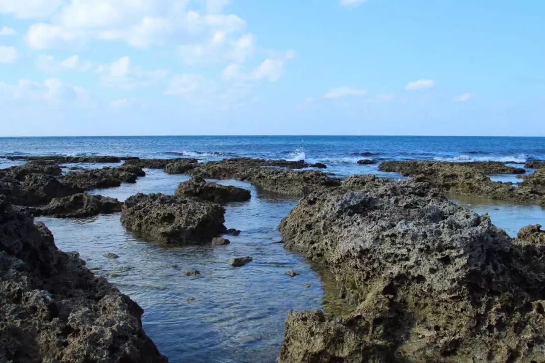 花蓮民宿推薦2019 /旅行漫步|冬季，我來台灣看海 旅遊 第10張