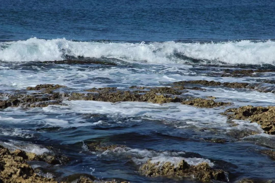 花蓮民宿推薦2019 /旅行漫步|冬季，我來台灣看海 旅遊 第6張