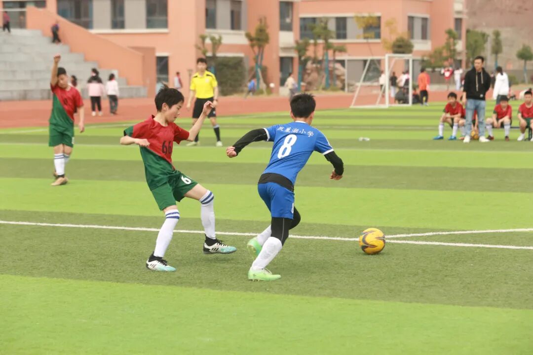 重庆永川区2024年校园足球联赛小学组圆满落幕