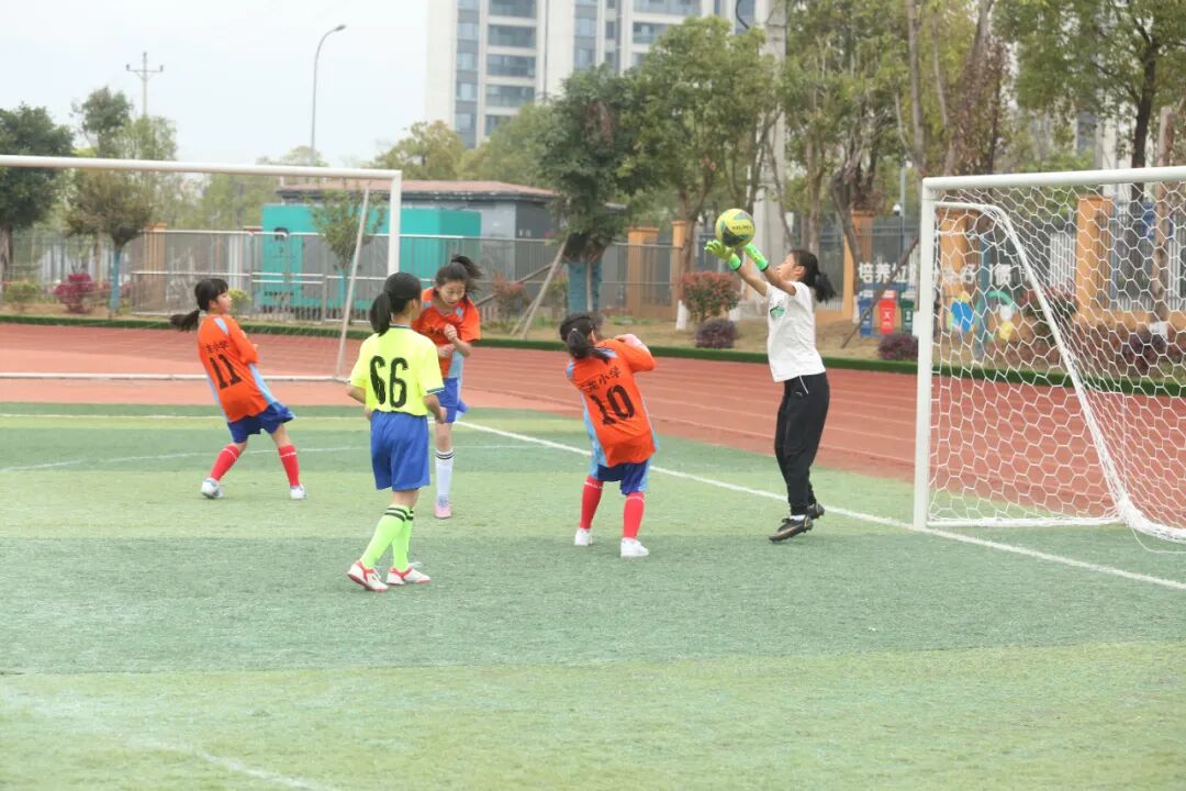 重庆永川区2024年校园足球联赛小学组圆满落幕