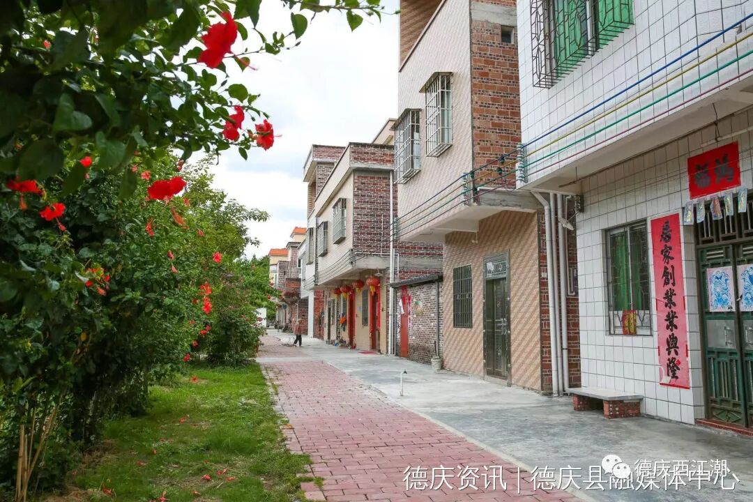 老区行|德庆县永丰镇:推动产业振兴 注入发展活力--肇房网