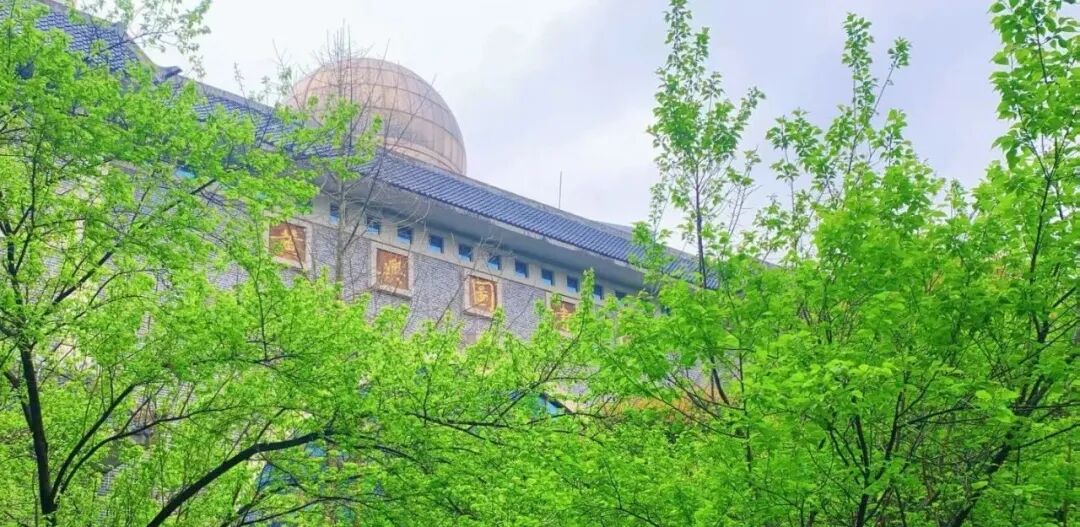 距离高考五十天，你还沉迷于手机？