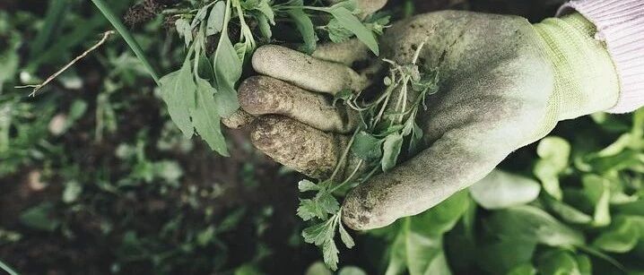 夏季这个行为易伤肾，肾不好的朋友千万别乱尝试！