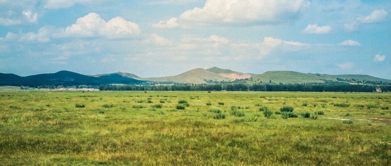 潜血3+，顶级中医、西医都不让吃药！医生说：99%不会走到尿毒症