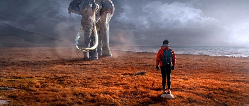 肌酐从83涨到115，不是肾不好，而是因为它！所有肾友都应了解的一个常识