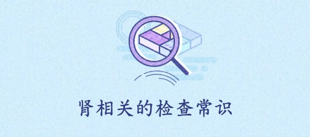 性跟腎沒有必然聯繫！關於腎臟，人人都能用得上的100條常識！ 健康 第2張