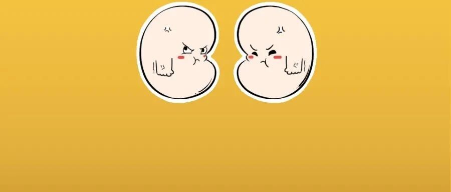 别和肾对着干！30件容易把你送进肾内科的事，少沾边，肾会感激你