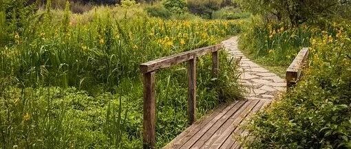 关于改善肾脏健康，你需要了解的20个小常识！