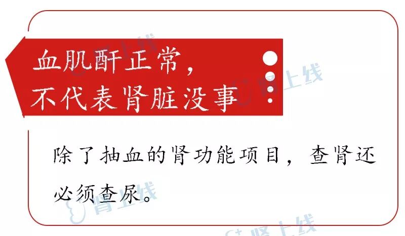 尿里泡沫多不是腎虛！這16個腎臟健康小常識，一定要收好！ 健康 第4張
