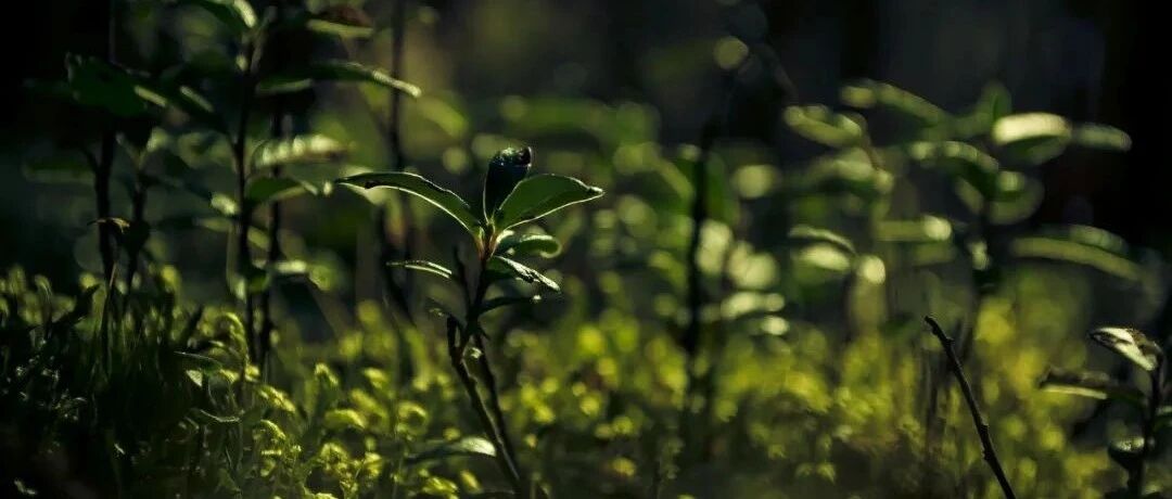 肾病到了哪个阶段，尿毒症难以避免？关键看这1点！