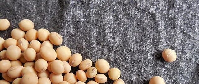 豆腐对肾友的4大好处，不知道就太可惜了！