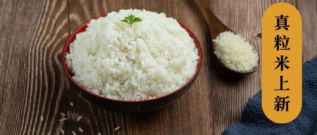 【肾上线严选】这种米好吃又能延缓肾病进展！尤其适合肌酐高的肾友