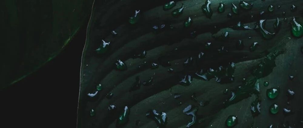 24小时尿蛋白留起来太麻烦？ACR和PCR了解一下！