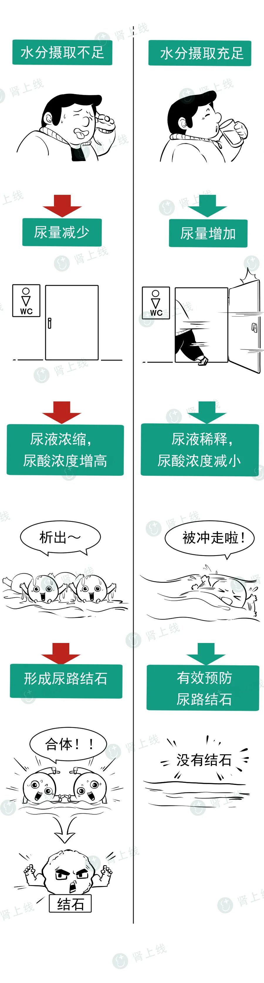 4種能降尿酸，減少痛風的食物，分享給高尿酸朋友！看看有沒有你愛吃的 健康 第6張