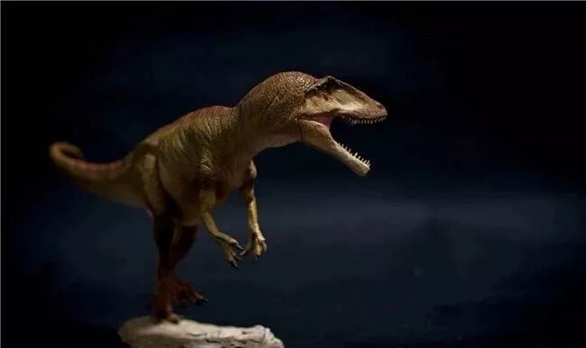 棘龙和霸王龙哪个厉害_霸王龙秒杀棘龙_霸王龙吊打棘龙