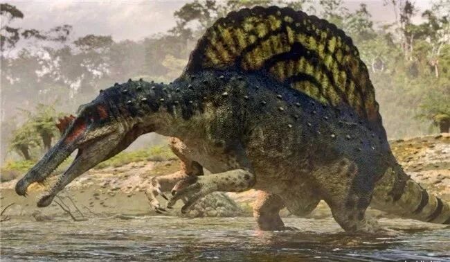 霸王龙秒杀棘龙_棘龙和霸王龙哪个厉害_霸王龙吊打棘龙