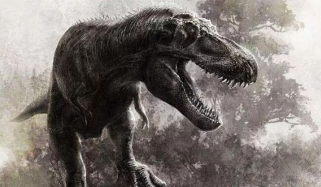 棘龙和霸王龙哪个厉害_霸王龙秒杀棘龙_霸王龙吊打棘龙