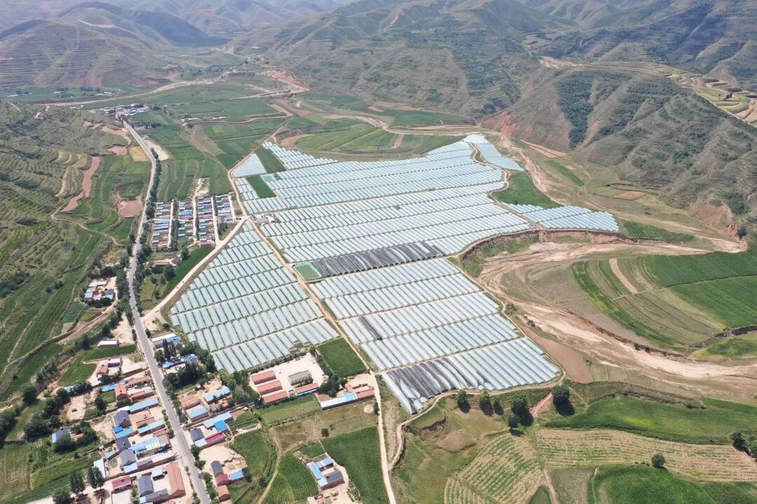 浙江公布乡村振兴最佳创新案例和最佳实践案例，台州两项！