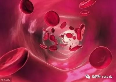 拔罐的好处和作用