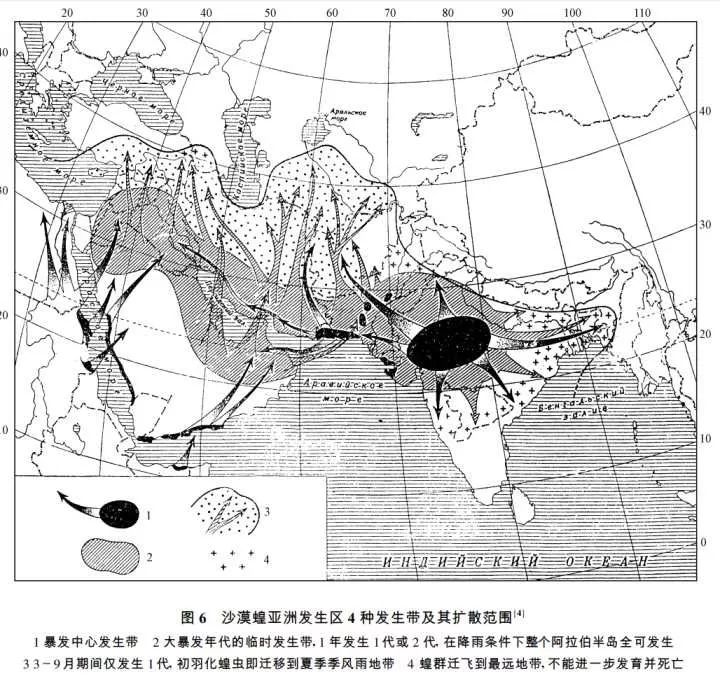 肆虐非洲的蝗灾，有没有可能会大规模的来袭中国？(图5)