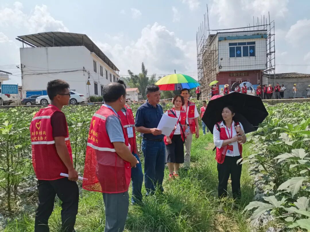 【代表主题活动】封开南丰镇人大:关注整合撂荒土地资源 助力乡村农业