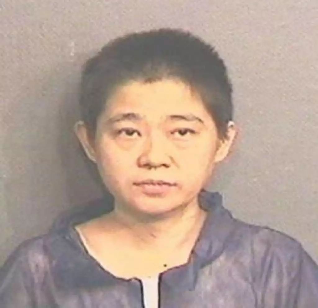 人伦惨剧！休斯顿5岁华裔男童遭患有严重忧郁症的母亲斩首，尸体被扔进垃圾桶
