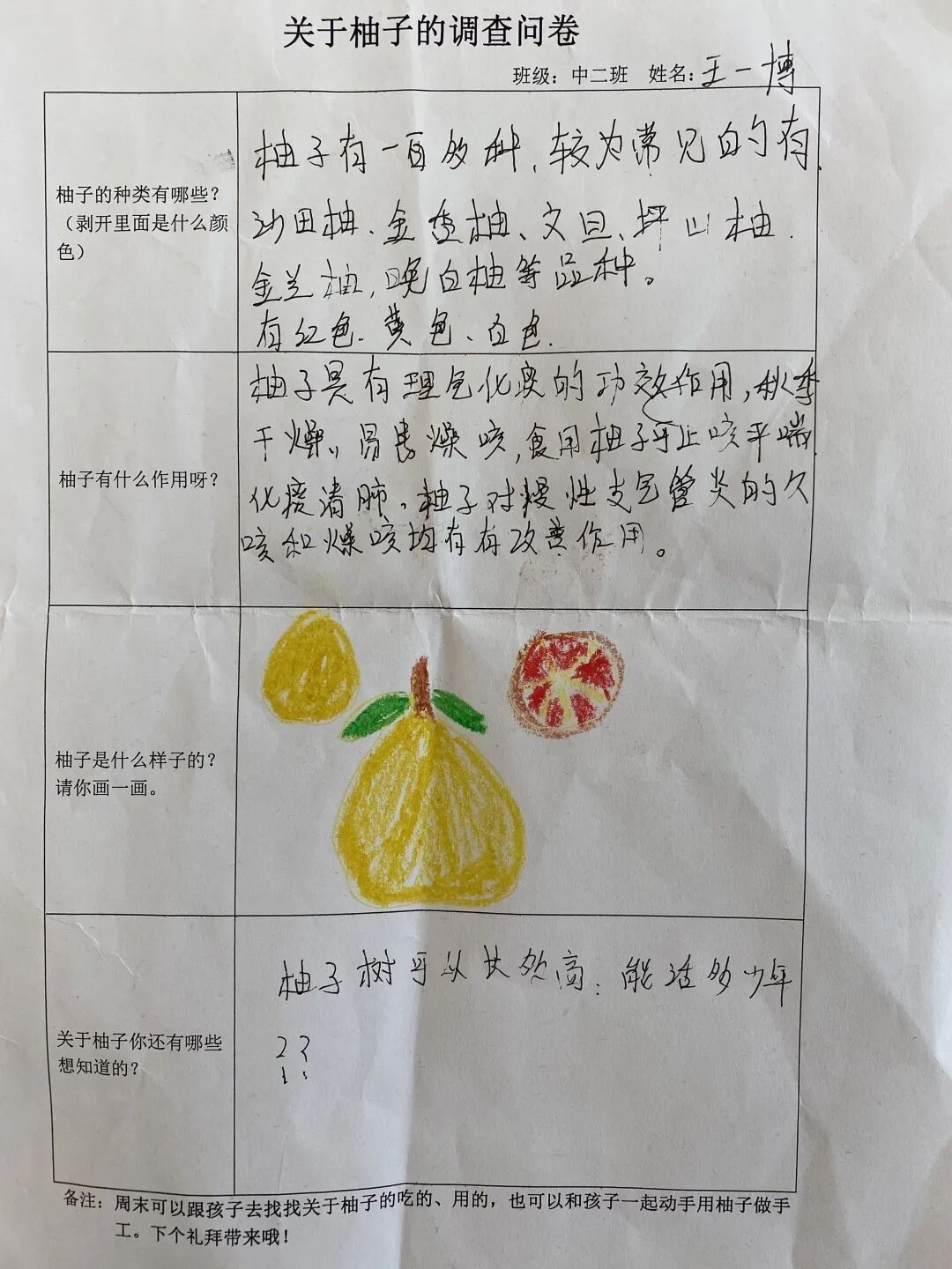 班本主题 之江二班 一场和柚子的浪漫旅行 上哪学