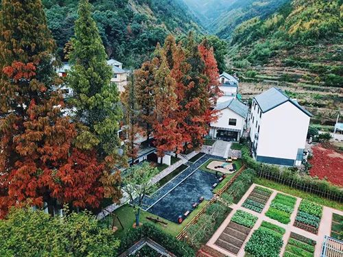 村,年度旅遊景區人氣獎,年度十佳文化主題酒店,年度遊客喜愛的民宿