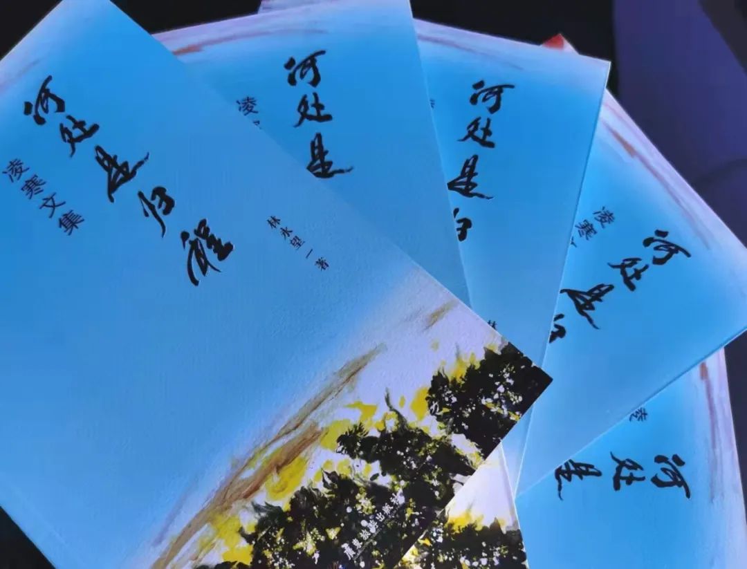 《何处是归程：凌寒文集》的作品以诗歌为主，写法上颇有独到之处，善于