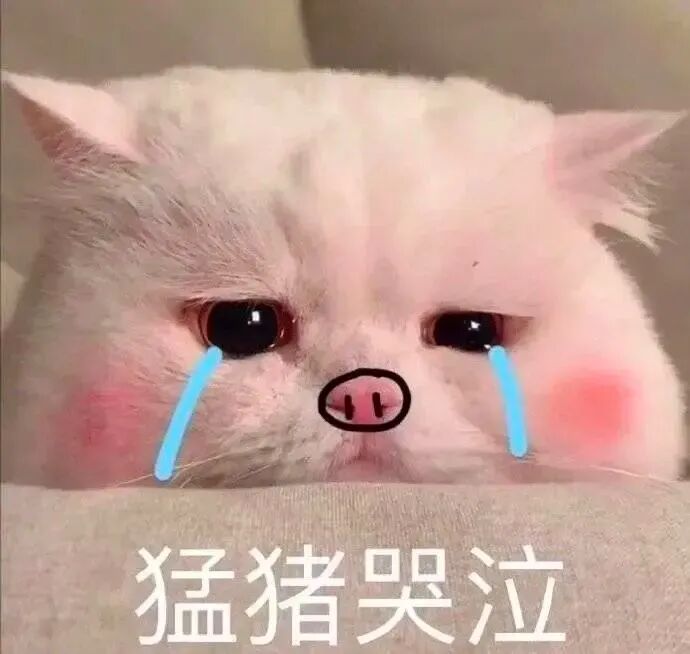 背去吃饭一说话我颅内的字幕君还是会阵亡(语速过快)完了他们还会戏虐