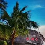 三亚重磅官宣：免费！